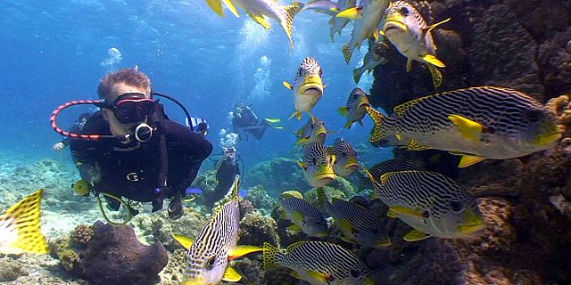 Diving in tamarin mauritius plonger ile maurice (7)